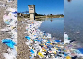 „ქვეყანა, რომ გვიყვარდეს ეს ასე არ იქნებოდა“ – კადრები თბილისის ზღვიდან, რომელსაც სოციალურ ქსელში დიდი გამოხმაურება მოჰყვა